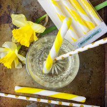Load image into Gallery viewer, Gin and Lemon Drink Stirrers
